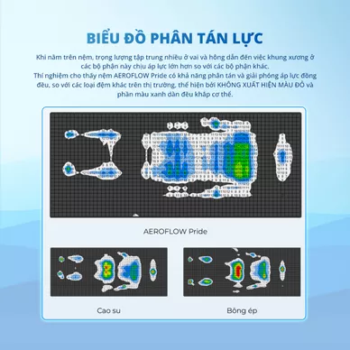 Nệm foam Nhật Bản Aeroflow Pride bảo vệ cột sống dày 22cm - Ảnh 6
