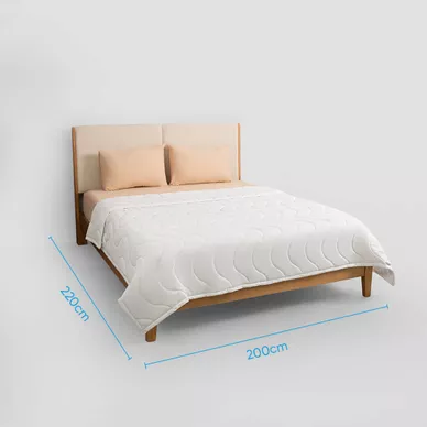 Ruột chăn bông Doona Basic cao cấp - Ảnh 3