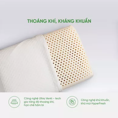 Gối cao su Gummi Standard 100% thiên nhiên thoáng khí - Ảnh 6
