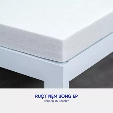 Nệm bông ép Goodnight Nova gấp 3 dày 5/9cm - Ảnh 8