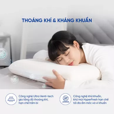 Gối cao su Gummi Evora 100% thiên nhiên massage thoáng khí - Ảnh 6