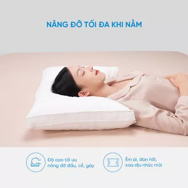Gối lông vũ Doona Sandwich cao cấp kháng khuẩn - Ảnh 7