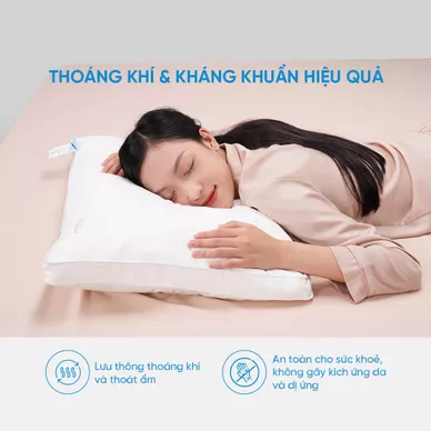 Gối lông vũ Doona Sandwich cao cấp kháng khuẩn - Ảnh 5