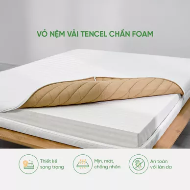 Nệm cao su cao cấp Gummi Legend nhập khẩu dày 20cm - Ảnh 4