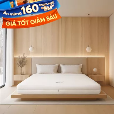 Nệm cao su cao cấp Gummi Legend nhập khẩu dày 20cm - Ảnh 2