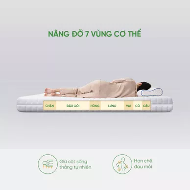 Nệm cao su cao cấp Gummi Legend nhập khẩu dày 20cm - Ảnh 7