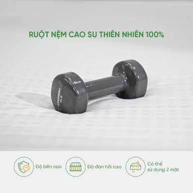 Nệm cao su cao cấp Gummi Legend nhập khẩu dày 20cm - Ảnh 6