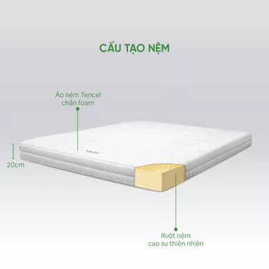 Nệm cao su cao cấp Gummi Legend nhập khẩu dày 20cm - Ảnh 3