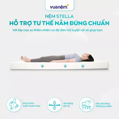 Nệm cao su đa tầng Kim Cương Stella dày 15cm - Ảnh 6