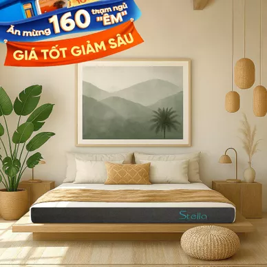 Nệm cao su đa tầng Kim Cương Stella dày 15cm - Ảnh 2