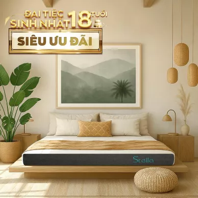 Nệm cao su đa tầng Kim Cương Stella dày 15cm - Ảnh 2