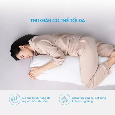 Ruột gối ôm Doona Microfiber CC - Ảnh 6