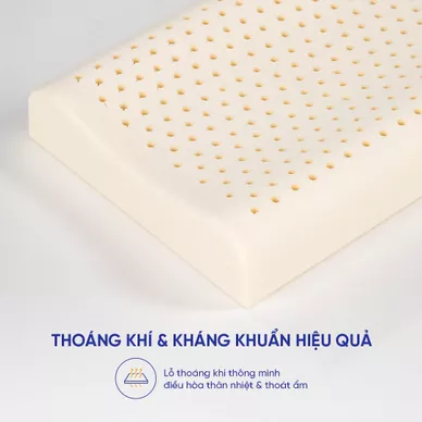 Gối cao su Gummi Pudding 100% thiên nhiên trẻ em - Ảnh 8