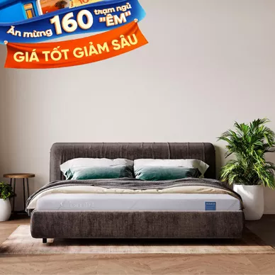 Nệm foam Comfy Cloud 1.0 thoáng khí vượt trội dày 12cm - Ảnh 2