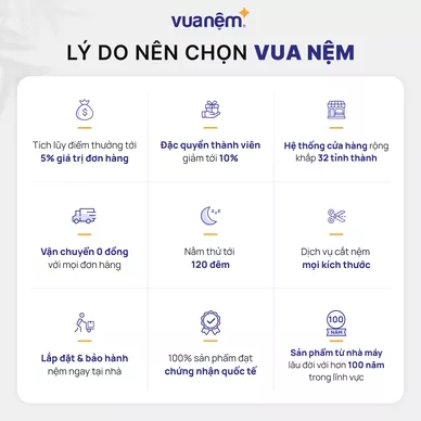 Nệm foam Comfy Cloud 2.0 siêu đàn hồi dày 15cm - Ảnh 14