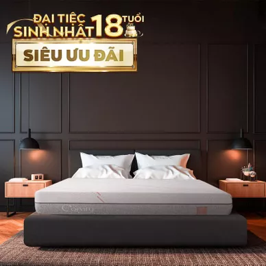 Nệm foam làm mát, kháng khuẩn nâng đỡ 5 vùng Comfy Lux 1.0 - Ảnh 2