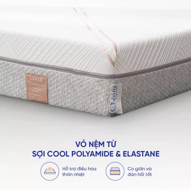 Nệm foam làm mát, kháng khuẩn nâng đỡ 5 vùng Comfy Lux 1.0 - Ảnh 8