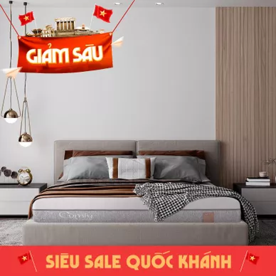 Nệm foam Comfy Lux 2.0 cao cấp kháng khuẩn kép dày 22cm - Ảnh 2