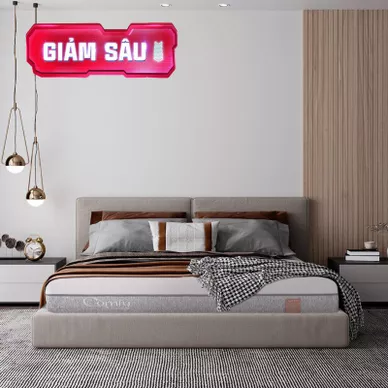 Nệm foam Comfy Lux 2.0 cao cấp kháng khuẩn kép dày 22cm - Ảnh 2