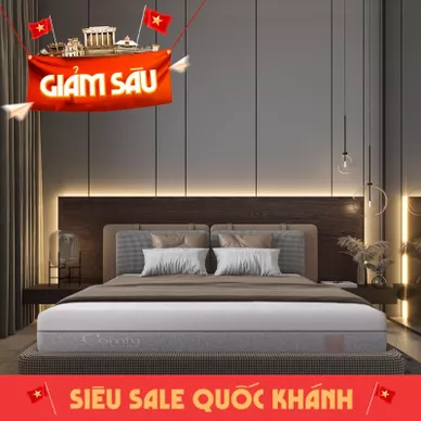 Nệm foam Comfy Lux 3.0 cao cấp tương thích toàn diện dày 25cm - Ảnh 2