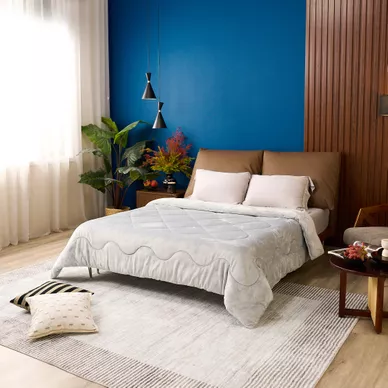 Chăn đông nhung tuyết giữ ấm Amando Warm Flannel (SS25) - Ảnh 31