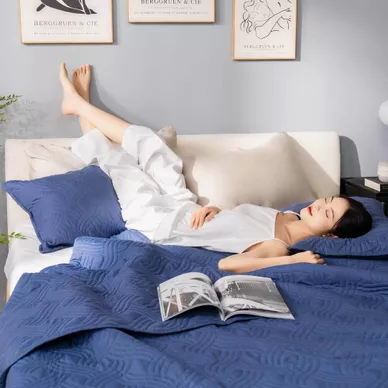Bộ chăn chần, vỏ gối Microfiber mềm mại, kháng khuẩn Amando Luna 3 chi tiết - Ảnh 2