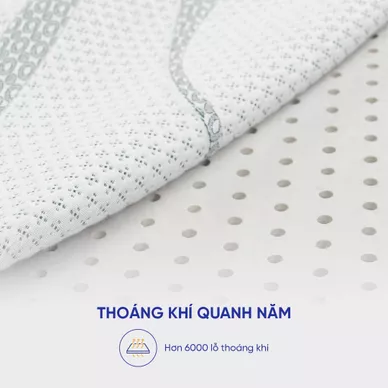 Nệm cao su thiên nhiên Gummi Premium detox giấc ngủ dày 10cm - Ảnh 9