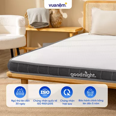 Nệm cao su đa tầng Goodnight Latex Hybrid (Rena) vững chắc, thông thoáng dày 10cm - Ảnh 10