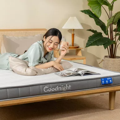 Nệm cao su đa tầng Goodnight Latex Hybrid (Rena) vững chắc, thông thoáng dày 10cm - Ảnh 15