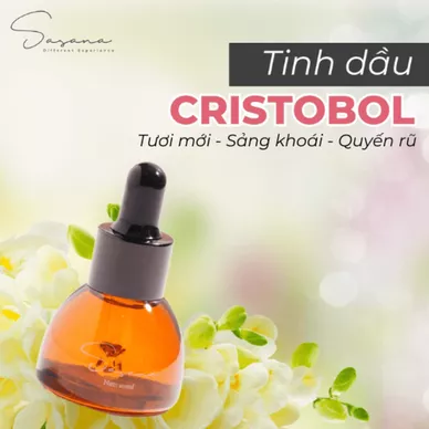 Tinh dầu Cristobol - Ảnh 2
