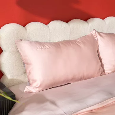 Bộ ga gối tencel cao cấp Goodnight Luxsilk - Ảnh 9