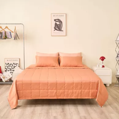 Chăn tencel cao cấp Goodnight Airsilk - Ảnh 5