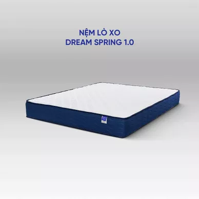 Nệm lò xo Dream Spring cách ly chuyển động dày 25cm - Ảnh 4