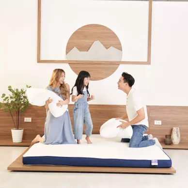 Nệm foam Goodnight Nagoya kháng khuẩn dày 12cm - Ảnh 3