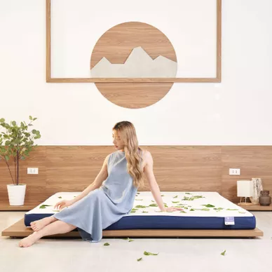 Nệm foam Goodnight Nagoya kháng khuẩn dày 12cm - Ảnh 2