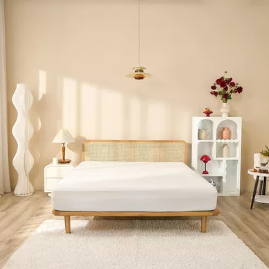 Bảo vệ nệm Doona Tencel - Ảnh 3