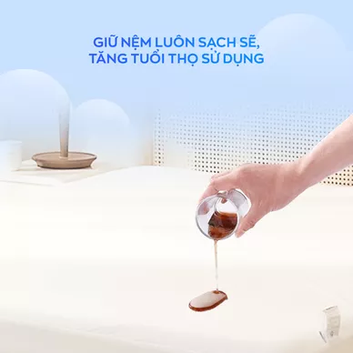 Bảo vệ nệm Doona Tencel - Ảnh 3