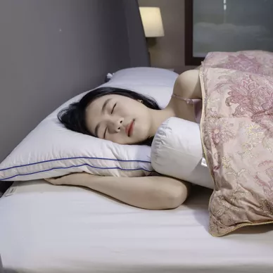 Gối Lông Vũ Giang Sơn Down VIP - Ảnh 4