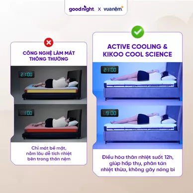 Nệm foam công nghệ Đức Goodnight Active Hybrid dày 20cm - Ảnh 18