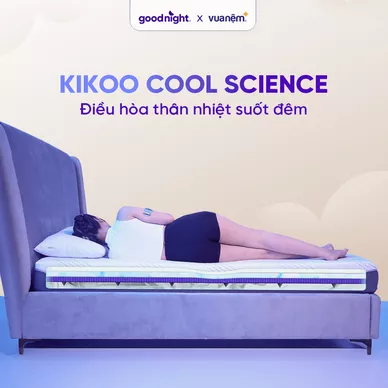 Nệm foam công nghệ Đức Goodnight Active Hybrid dày 20cm - Ảnh 15