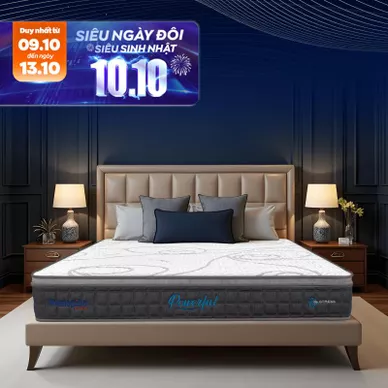[Mới - Độc quyền] Nệm lò xo túi độc lập 3 vùng Dunlopillo de.Stress Powerful - Ảnh 2