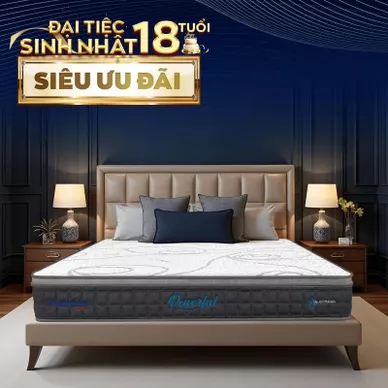 [Mới - Độc quyền] Nệm lò xo túi độc lập 3 vùng Dunlopillo de.Stress Powerful - Ảnh 2