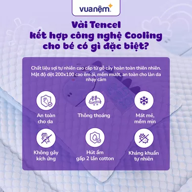 Bộ tấm trải trẻ em đi học Deepsleep Thỏ TC002 - Ảnh 9