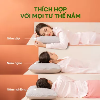 Gối cao su thiên nhiên Gummi Ovalux - Ảnh 8