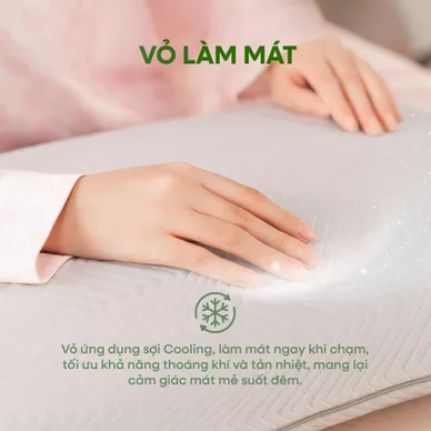 Gối cao su thiên nhiên Gummi Ovalux - Ảnh 7