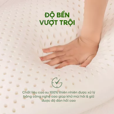 Gối cao su thiên nhiên Gummi Ovalux - Ảnh 5