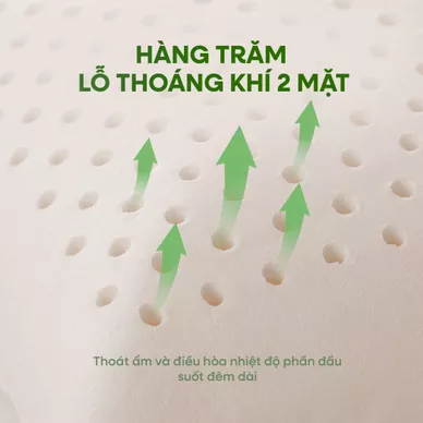 Gối cao su thiên nhiên Gummi Ovalux - Ảnh 6