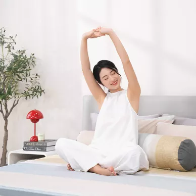 Bộ ga chun tencel Amando Celia 4 chi tiết TP006 - Thumbnail