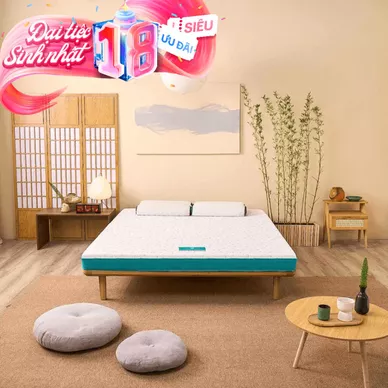 Nệm foam Nhật Bản Aeroflow Standard nâng đỡ cơ thể dày 12cm - Thumbnail