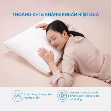 Gối lông vũ Doona Dream Cloud cao cấp siêu êm ái - Thumbnail